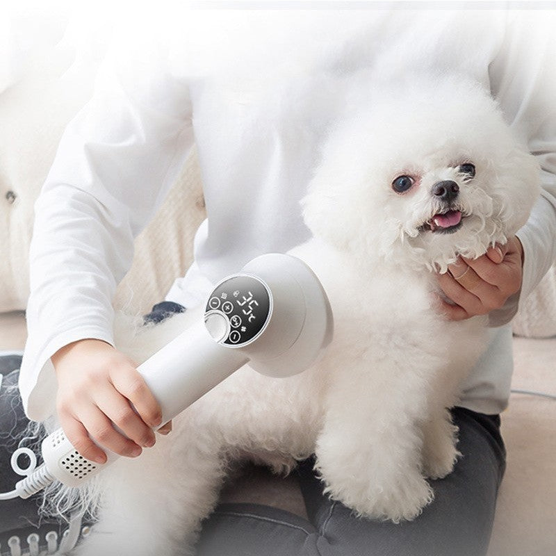 No-Harm Dog Hair Dryer & Comb – Ideal for Passionate Pet Care - dreamydogdeals.shop