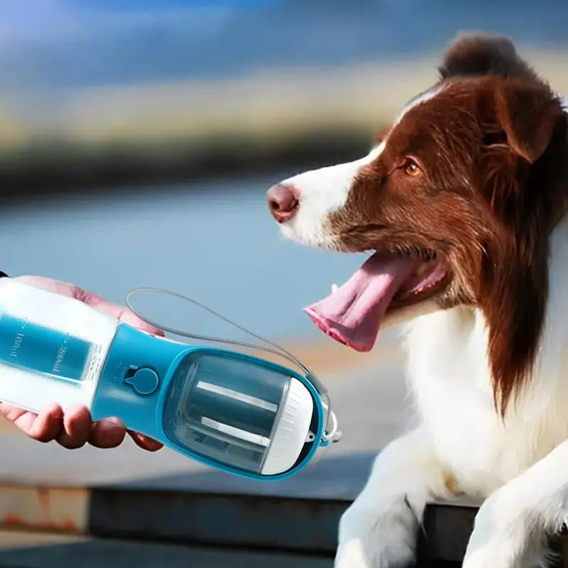 Ultimate 3-in-1 Pet Water Bottle: Hydrate, Feed, and Clean Up On-the-Go - dreamydogdeals.shop